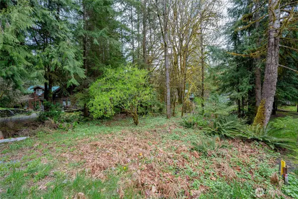 14039 Chimney Lane #39, Deming, WA 98244