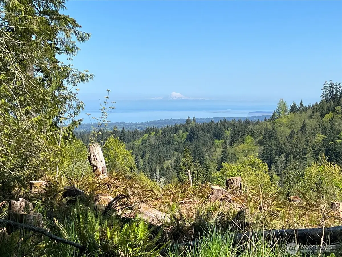 9999 E Half Mile Rd., Lot B #B, Port Angeles, WA 98362 - #1