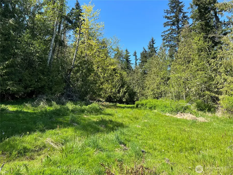 9999 E Half Mile Rd., Lot B #B, Port Angeles, WA 98362 - #2