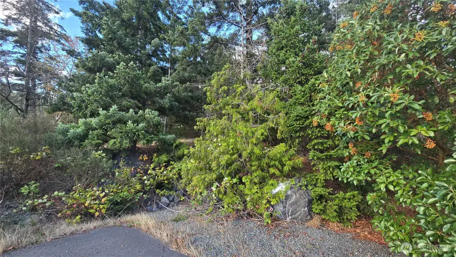 7701 State Route 20, Anacortes, WA 98221 - #3