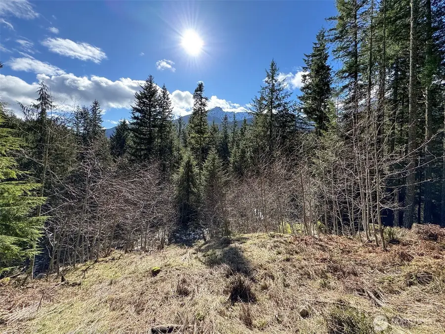 9999 Lake Dawn Road, Port Angeles, WA 98362 - #2