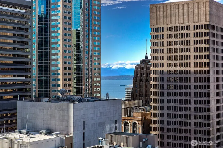 909 5th Avenue #2002, Seattle, WA 98164 - #3