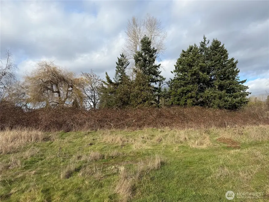 915 90th St E, Tacoma, WA 98445 - #2