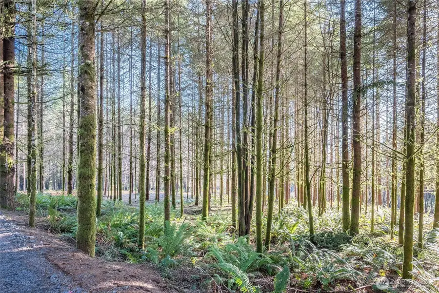 0 Bunker Hill Road, Longview, WA 98632 - #2