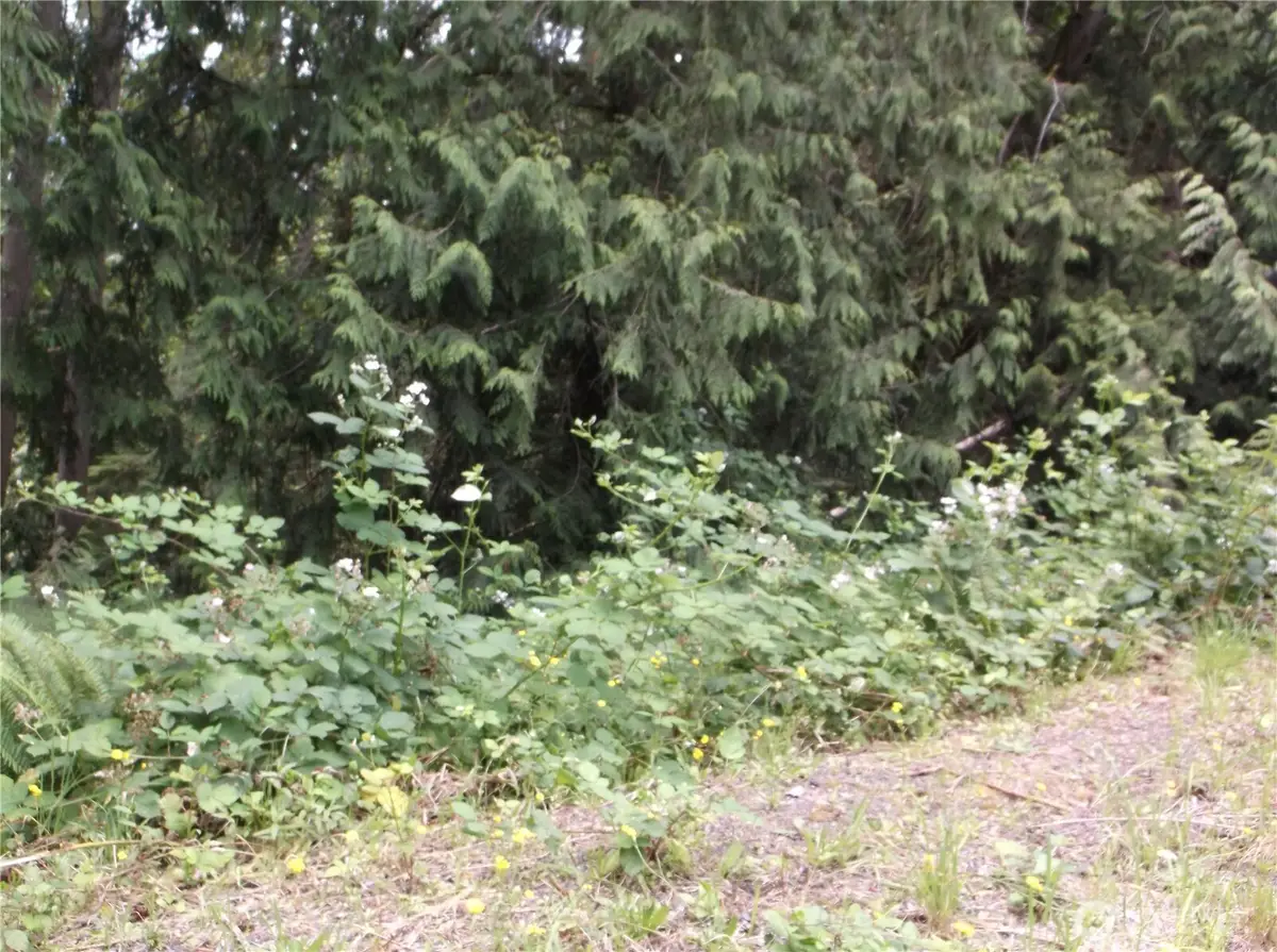 18012 123rd Place Ne #38, Arlington, WA 98223 - #1