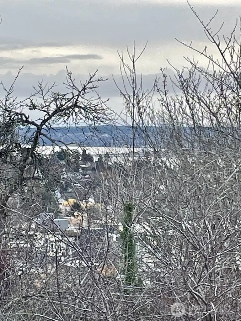 4916 30th Avenue S, Seattle, WA 98108 - #3