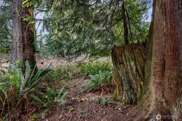 6657 N Fruitdale Road, Sedro Woolley, WA 98284