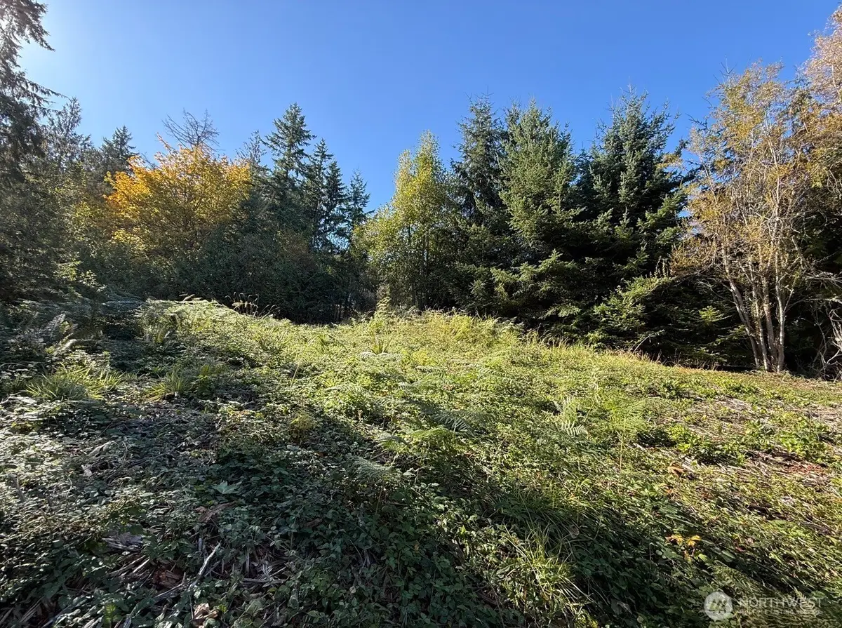 0 Chelsamish Drive #1, Sequim, WA 98382 - #1