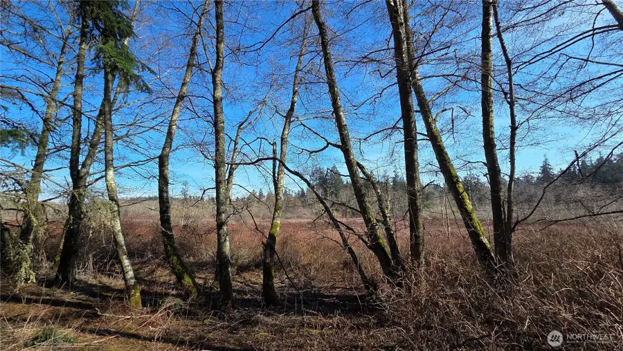 5707 Woodard Avenue, Freeland, WA 98249 - #2