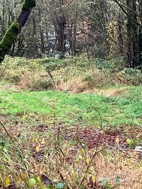 29280 NE 189th Street #4, Duvall, WA 98019 - #1