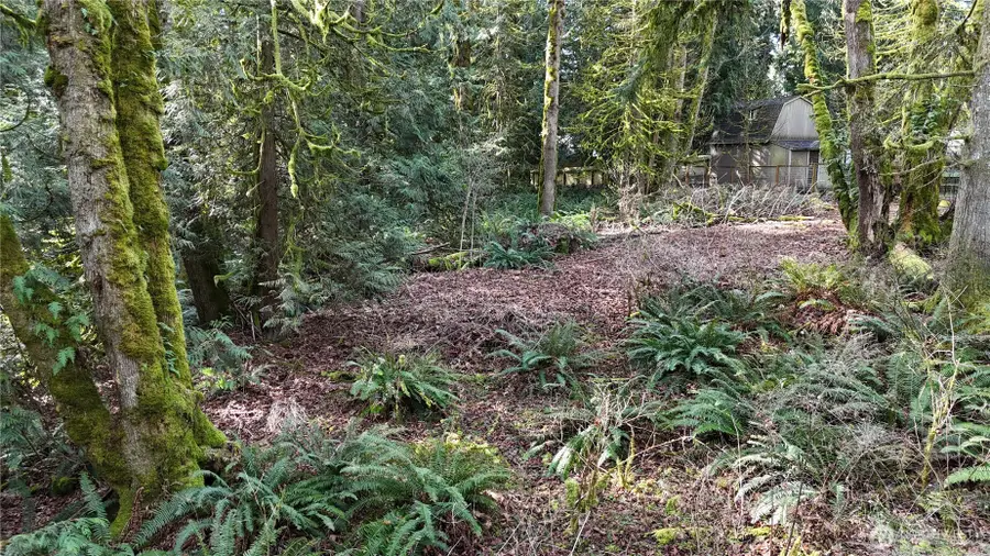 2254 Yew Street Road, Bellingham, WA 98229 - #2