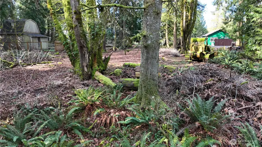 2254 Yew Street Road, Bellingham, WA 98229 - #3