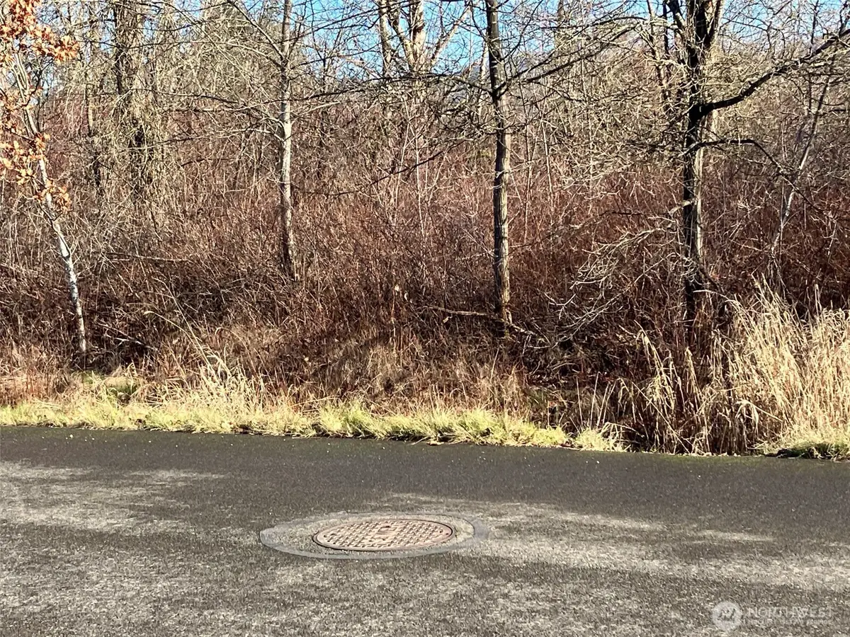 0 266th Avenue Se, Enumclaw, WA 98022 - #1