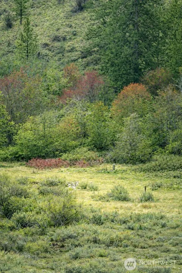 42 Beeman Road, Tonasket, WA 98855