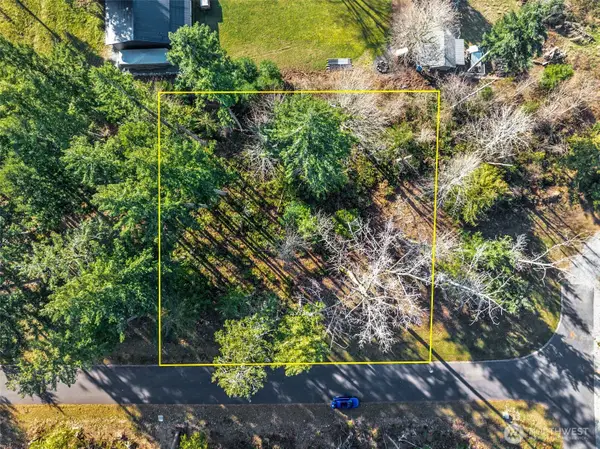 360 Carbon Hill Drive, Carbonado, WA 98323