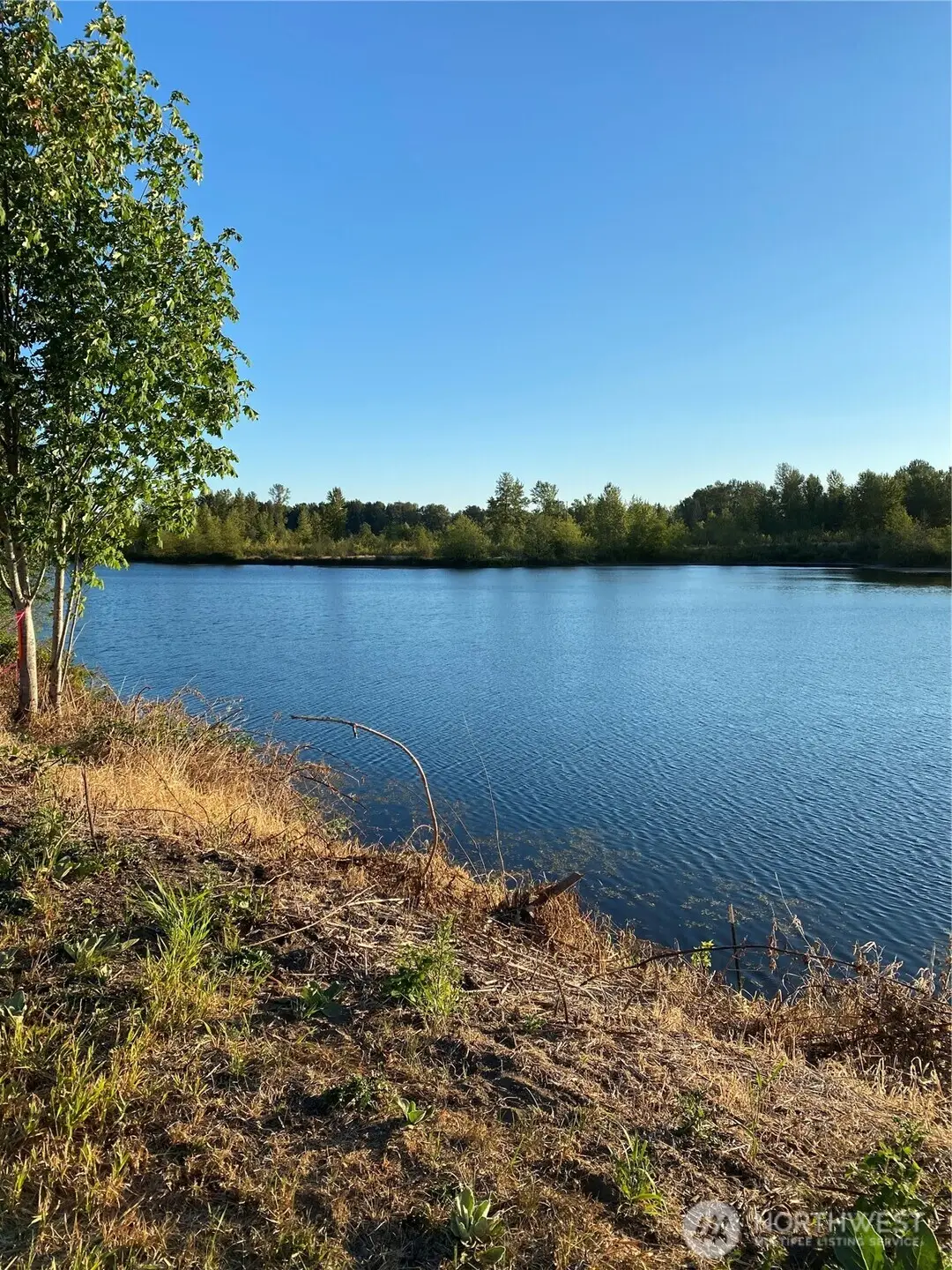 243 Collins Road #Parcel D, Toledo, WA 98591 - #1