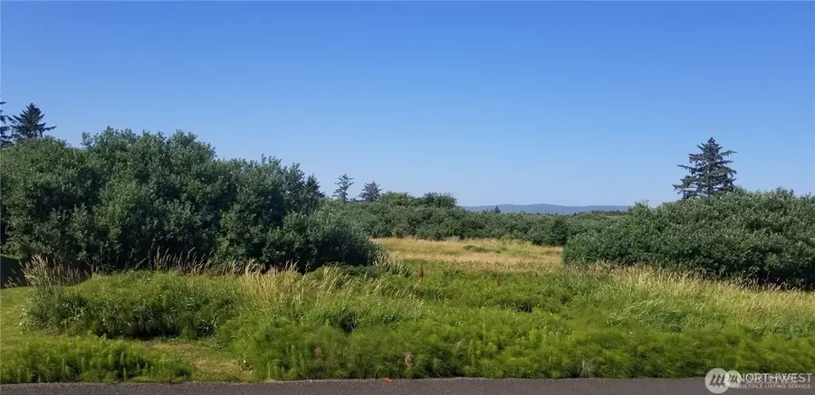 254 Stringtown Road #Lot 4, Ilwaco, WA 98624 - #3
