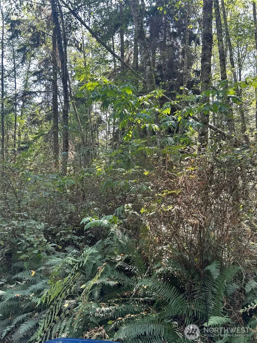 0 Forest View Lane, Greenbank, WA 98253 - #3