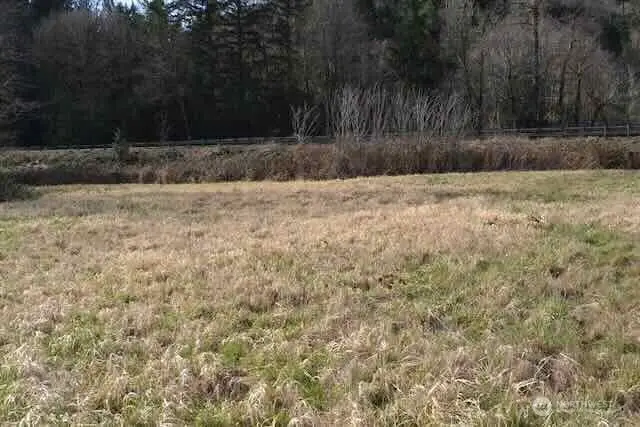 0 Us Hwy. 12, Morton, WA 98356 - #2