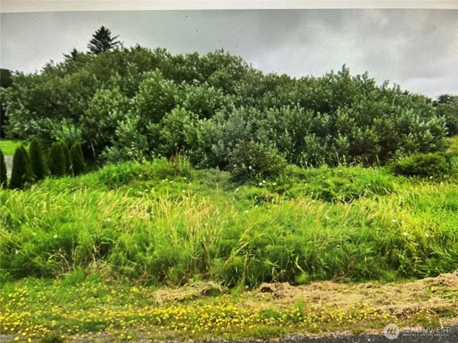258 Stringtown Road #4, Ilwaco, WA 98624 - #2