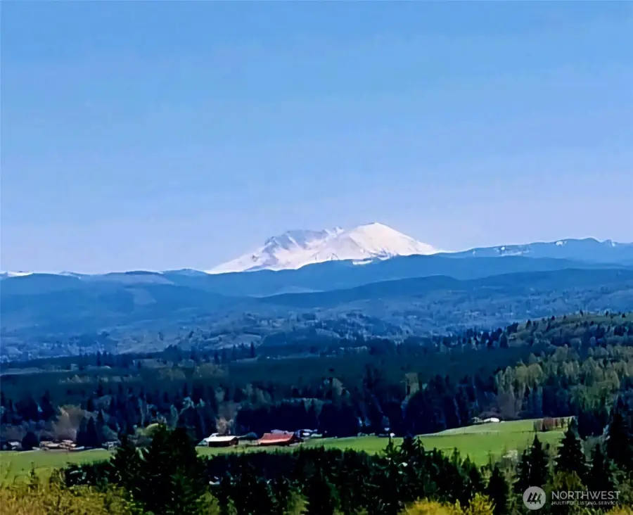 177 Starlight Drive #2, Onalaska, WA 98533 - #2