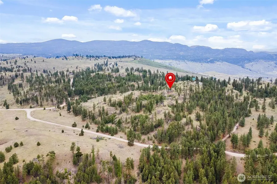 0 Homestead Spur Road #39, Oroville, WA 98844 - #2