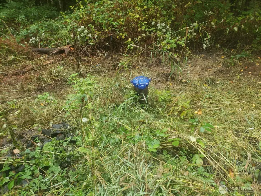 10943 Lundeen Road Sw #3, Rochester, WA 98579 - #2