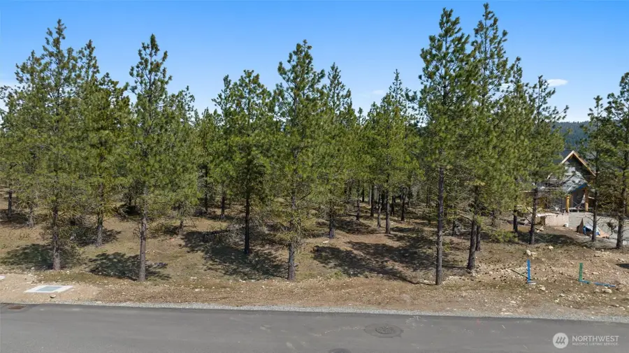 39 Gold Leaf Lane #3-16-39, Cle Elum, WA 98922 - #3