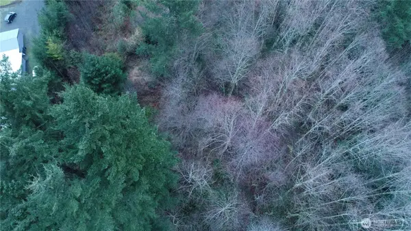 0 N 2nd St, Morton, WA 98572