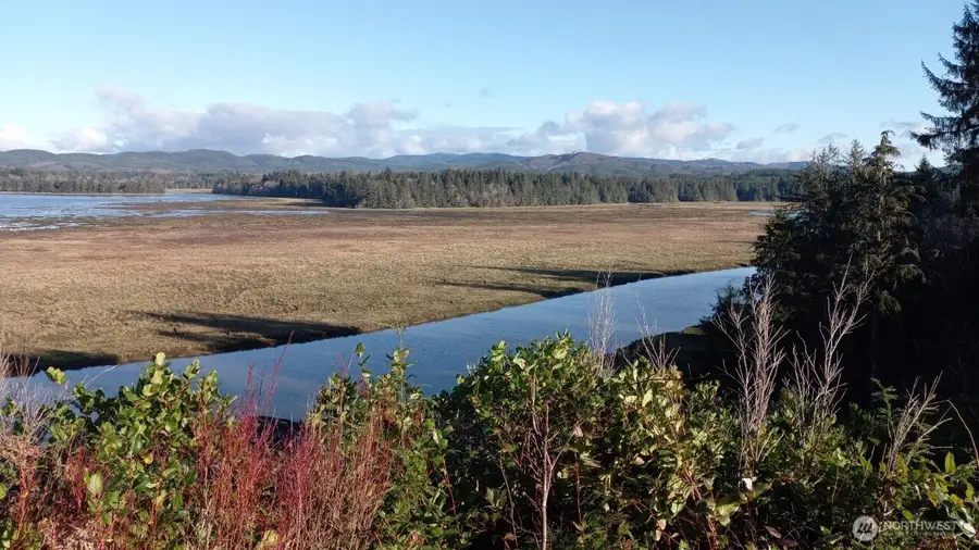 26 Lynn Point Lane #12 & 13, South Bend, WA 98586 - #3