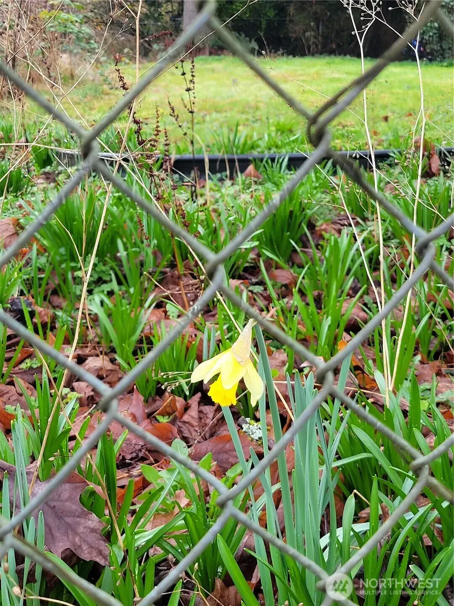 19424 Winesap Road, Bothell, WA 98012 - #3