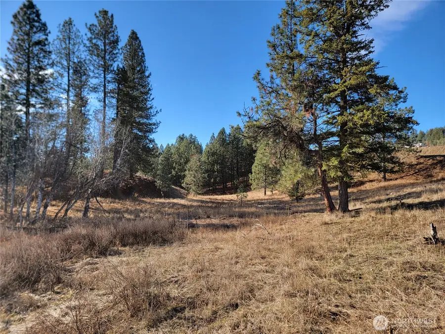 999 Stabenfeldt Drive #Lot 22, Republic, WA 99166 - #3
