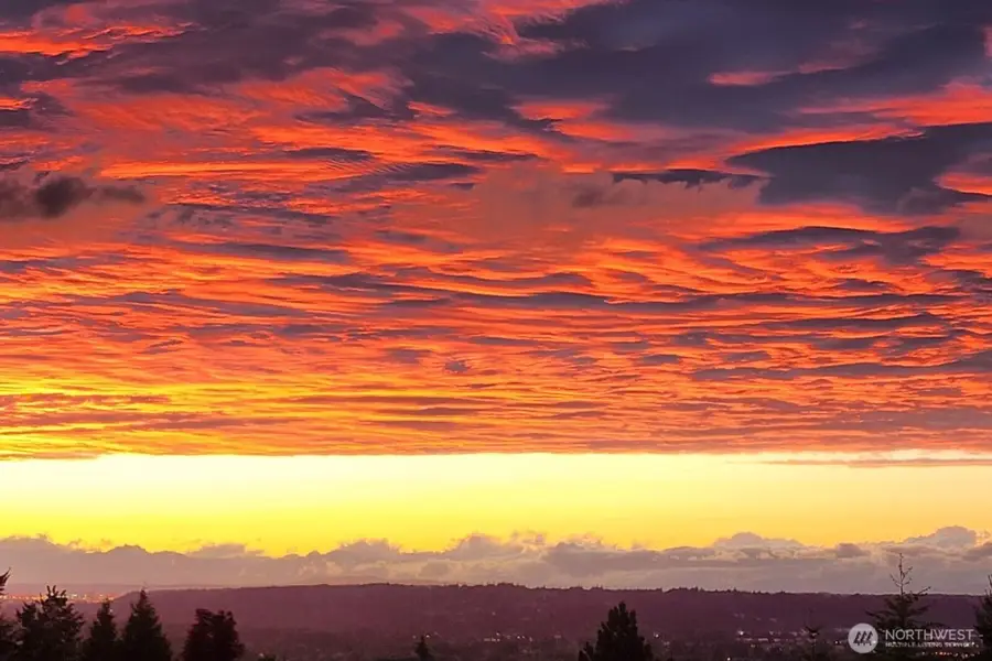 17806 106th Street E, Bonney Lake, WA 98391 - #3