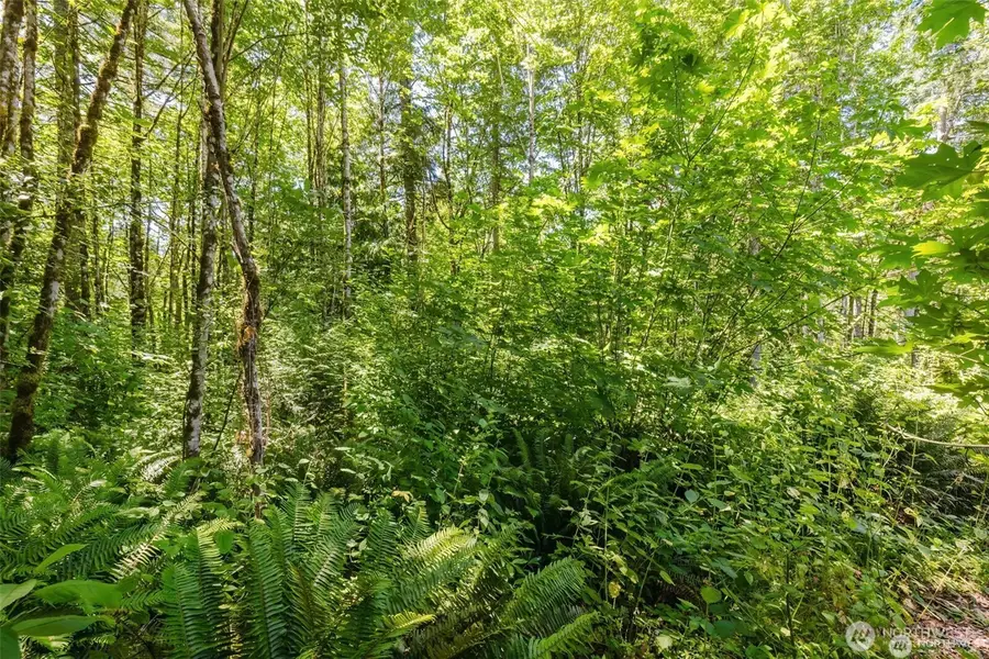 11 Cassie Place Nw #11, Poulsbo, WA 98370 - #2