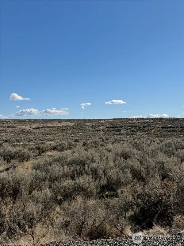 225 Eagle Springs Ranch #225, Wilson Creek, WA 98860