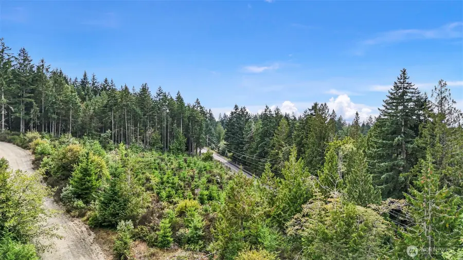 0 E Thornton Road, Shelton, WA 98584 - #3