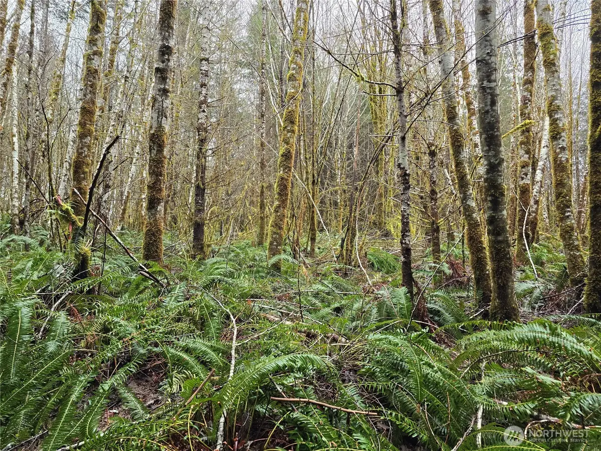 0 W Elk Hill Road #4, Elma, WA 98541 - #1