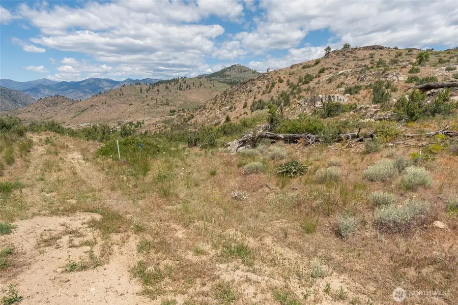 495 Glory View Lane #5, Manson, WA 98831 - #3