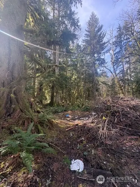 63605 NE 189th Street #41, Baring, WA 98224 - #1