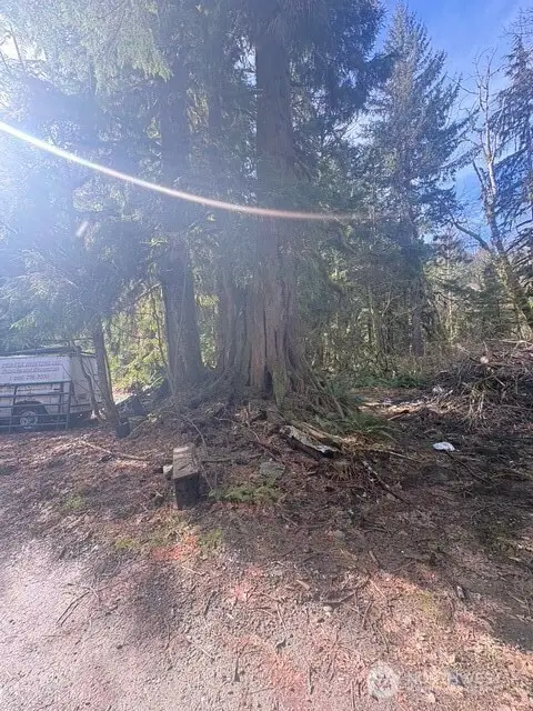 63605 NE 189th Street #41, Baring, WA 98224 - #3