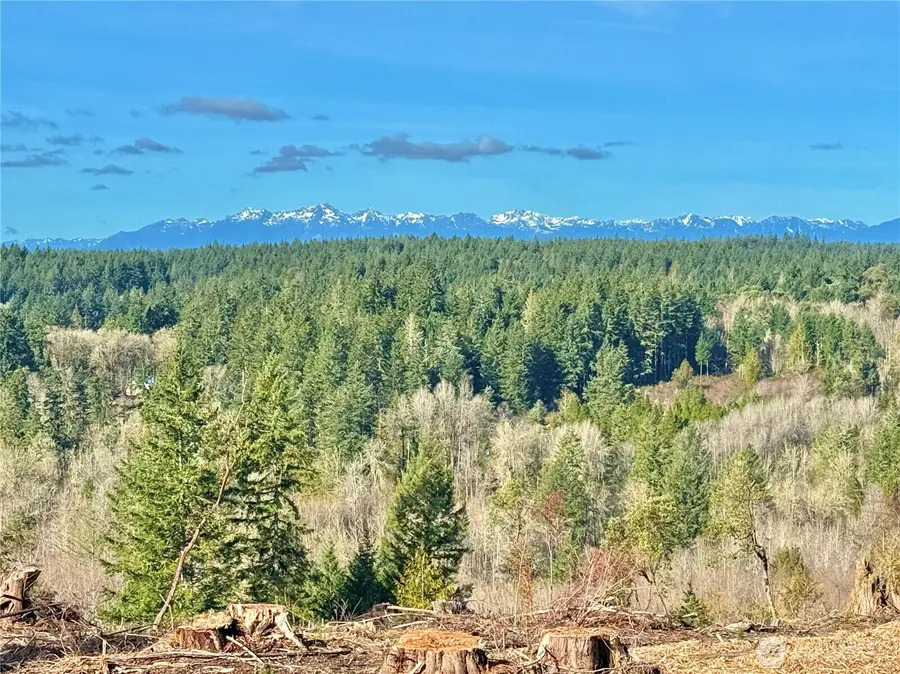 4324 183rd Avenue Ct Sw #Revised Lot C, Longbranch, WA 98351 - #3