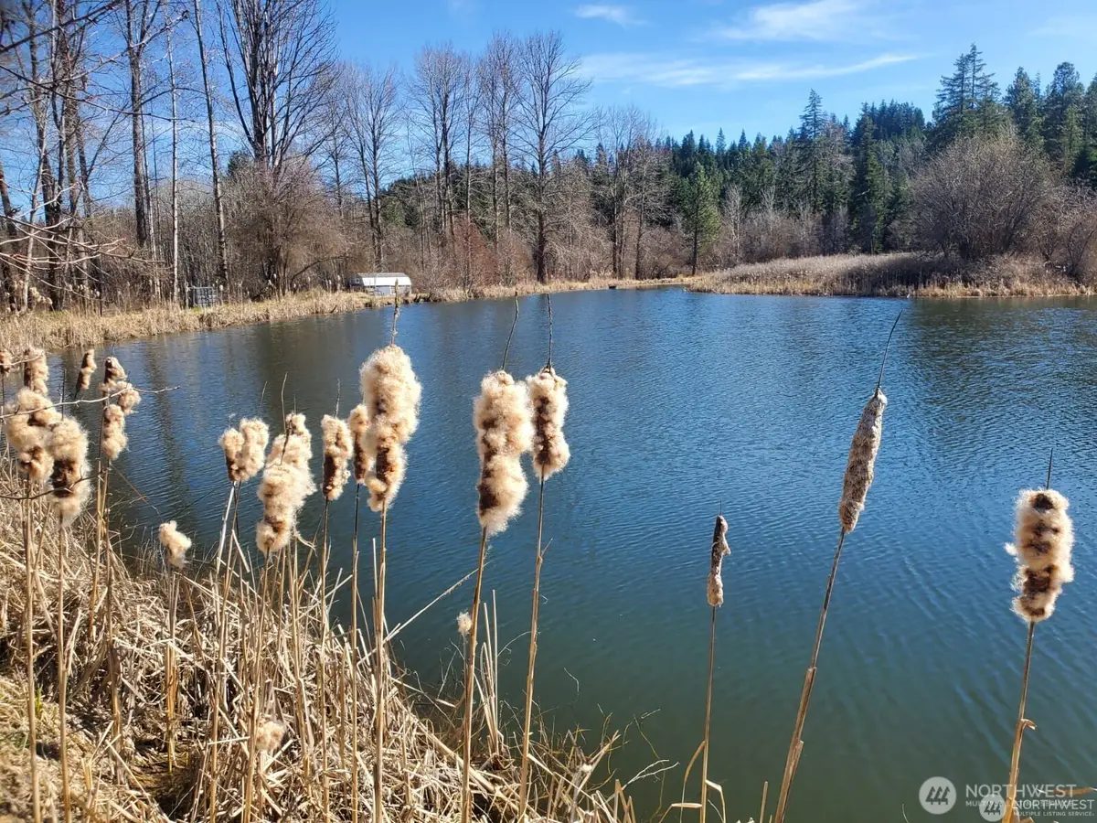 400 Three Lakes Road #Lot 47, Cle Elum, WA 98922 - #1
