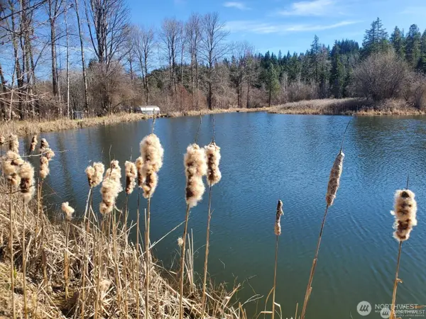 400 Three Lakes Road #Lot 47, Cle Elum, WA 98922