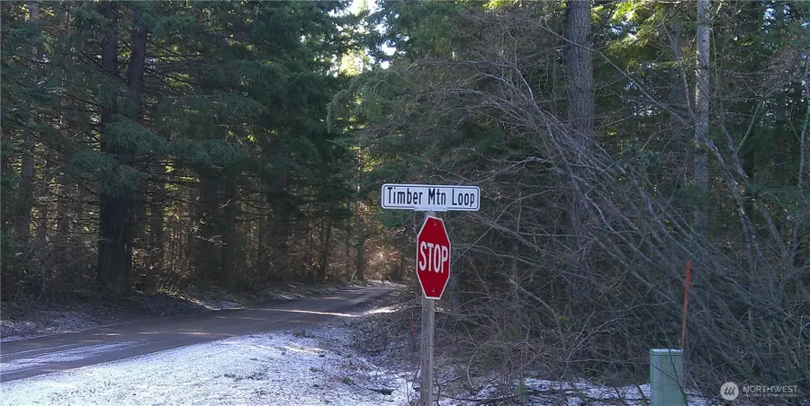 1941 Timber Mountain Loop, Cle Elum, WA 98922 - #2