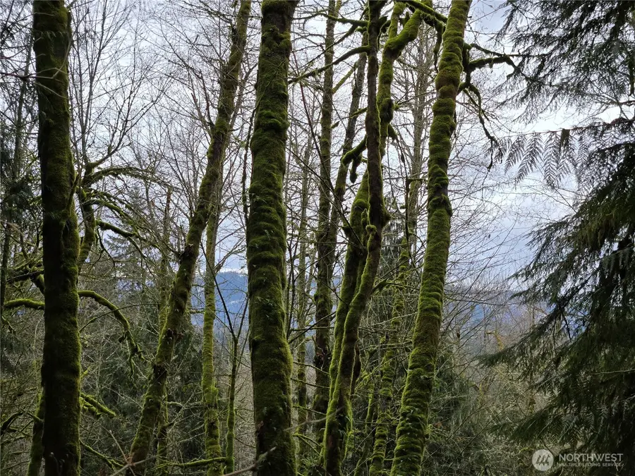 183 123rd (southern Lot) Avenue Ne #6, Arlington, WA 98223 - #3