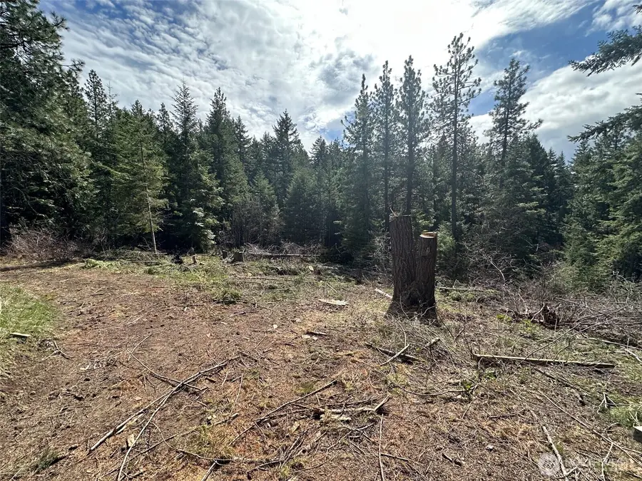 170 Morel Road, Ronald, WA 98940 - #3