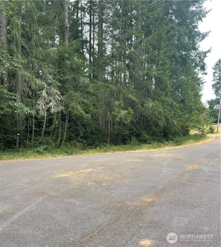 12514 93rd Street Ct, Anderson Island, WA 98303 - #1