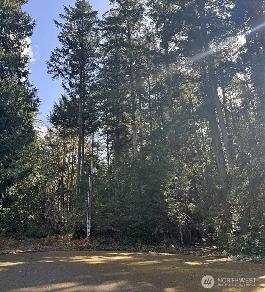 12514 93rd Street Ct, Anderson Island, WA 98303 - #3