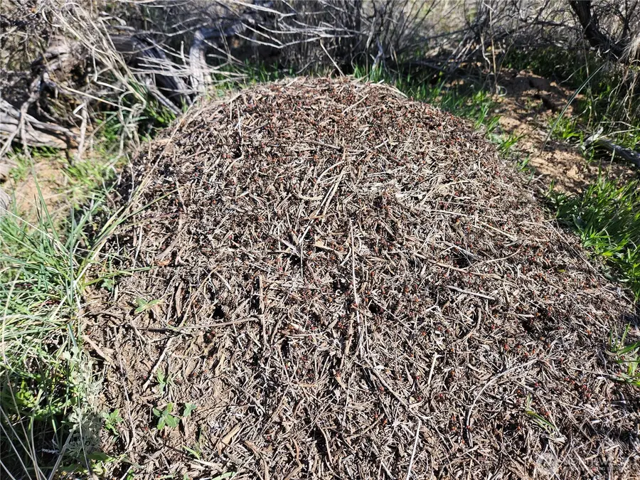 18 Thoroughbred Drive #18, Ephrata, WA 98823 - #3