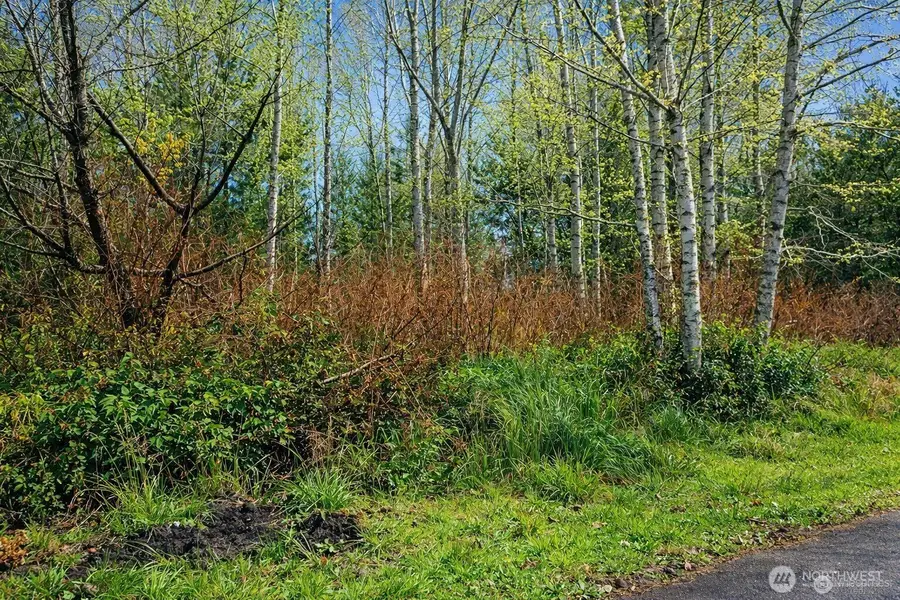 821 Duck Lake Drive Ne, Ocean Shores, WA 98569 - #3